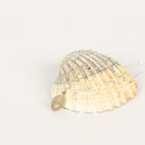 Moon Light halssmykke med månesten og rådiamant fra JINS hos Shining You