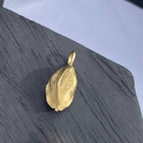 NATURE Bog fra bøgetræet