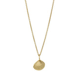 Heiring muslingeskal vedhæng forgyldt sølv hos Shining You